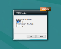 RAM Monitor settings